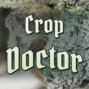 Crop Doctor Cannabis Strain