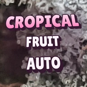 Cropical Fruit Auto Cannabis Strain