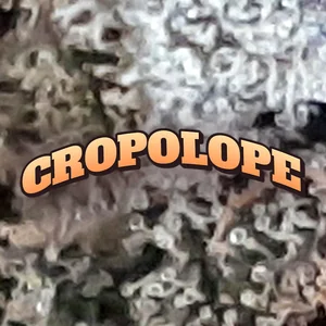 Cropolope Cannabis Strain