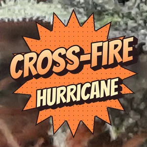 Cross-Fire Hurricane Cannabis Strain