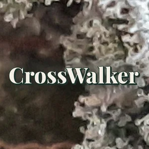 CrossWalker Cannabis Strain