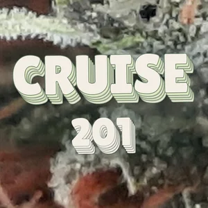 Cruise 201 Cannabis Strain