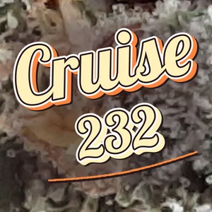 Cruise 232 Cannabis Strain