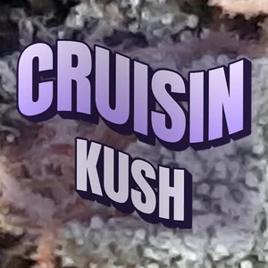 Cruisin Kush Cannabis Strain