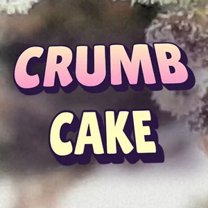 Crumb Cake Cannabis Strain