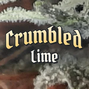 Crumbled Lime Cannabis Strain