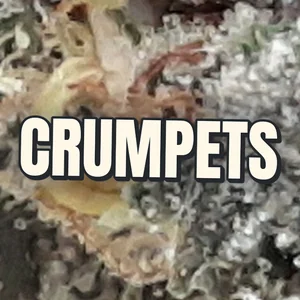 Crumpets Cannabis Strain