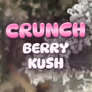 Crunch Berry Kush Cannabis Strain
