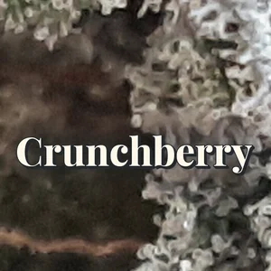 Crunchberry Cannabis Strain