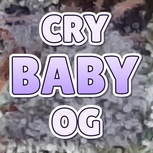 Cry Baby OG Cannabis Strain