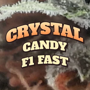 Crystal Candy F1 Fast Cannabis Strain
