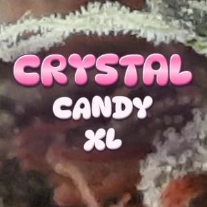 Crystal Candy XL Cannabis Strain
