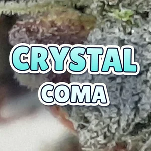 Crystal Coma Cannabis Strain