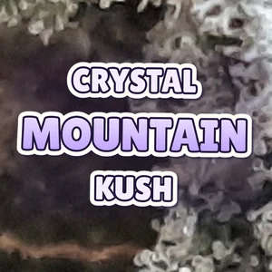 Crystal Mountain Kush Cannabis Strain