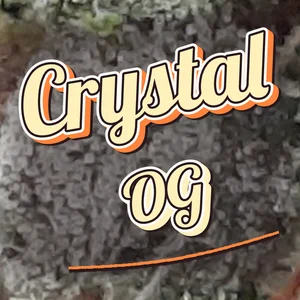 Crystal OG Cannabis Strain