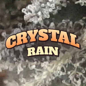 Crystal Rain Cannabis Strain