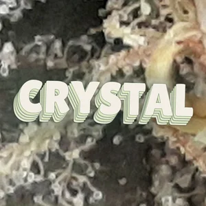 Crystal Cannabis Strain