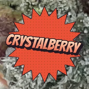 Crystalberry Cannabis Strain
