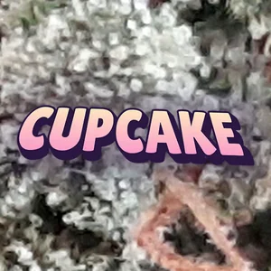 Cupcake Cannabis Strain