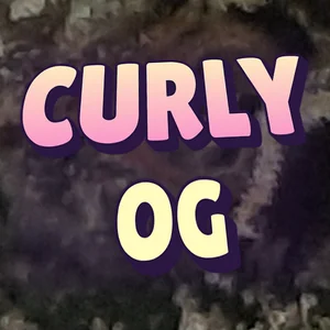 Curly OG Cannabis Strain