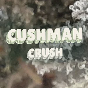 Cushman Crush Cannabis Strain