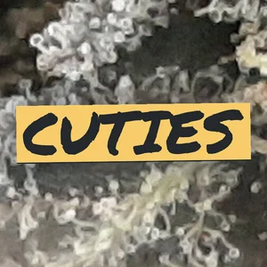 Cuties Cannabis Strain