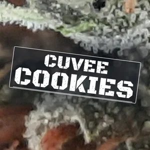 Cuvee Cookies Cannabis Strain