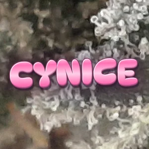 CynIce Cannabis Strain