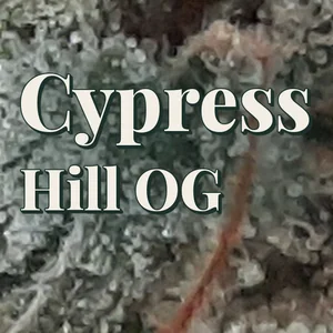 Cypress Hill OG Cannabis Strain