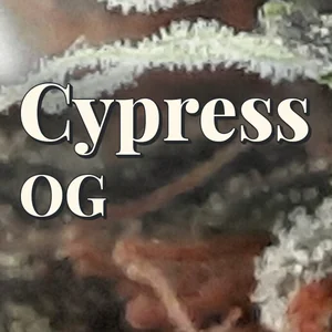 Cypress OG Cannabis Strain