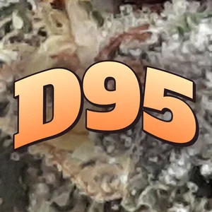 D95 Cannabis Strain