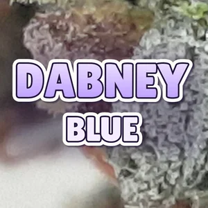 Dabney Blue Cannabis Strain