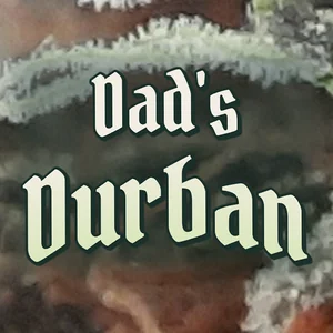 Dad's Durban Cannabis Strain