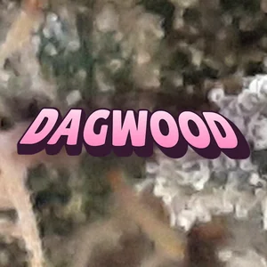 Dagwood Cannabis Strain