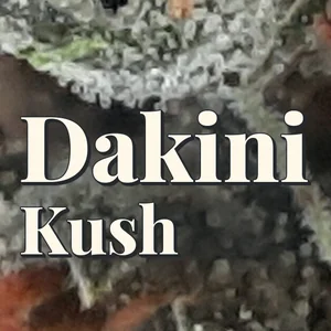 Dakini Kush Cannabis Strain