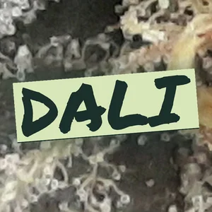 Dali Cannabis Strain