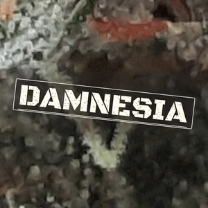 Damnesia Cannabis Strain