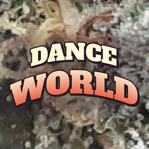 Dance World Cannabis Strain