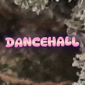 Dancehall Cannabis Strain