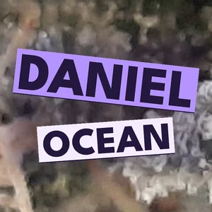 Daniel Ocean Cannabis Strain