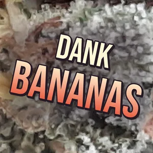 Dank Bananas Cannabis Strain