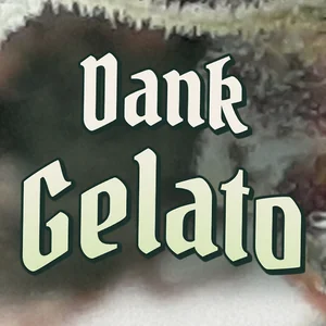 Dank Gelato Cannabis Strain