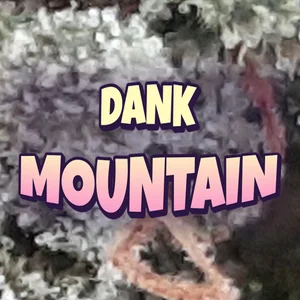Dank Mountain Cannabis Strain