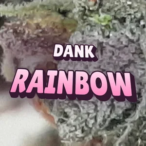Dank Rainbow Cannabis Strain