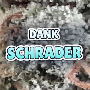 Dank Schrader Cannabis Strain