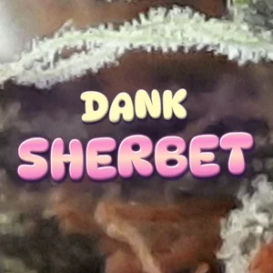 Dank Sherbet Cannabis Strain