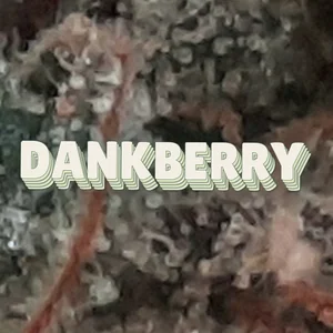 Dankberry Cannabis Strain