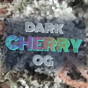 Dark Cherry OG Cannabis Strain