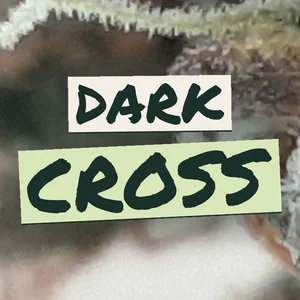 Dark Cross Cannabis Strain