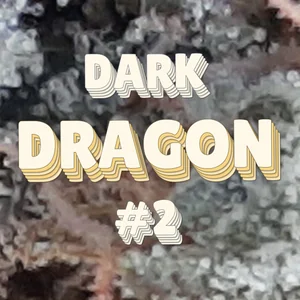 Dark Dragon #2 Cannabis Strain
